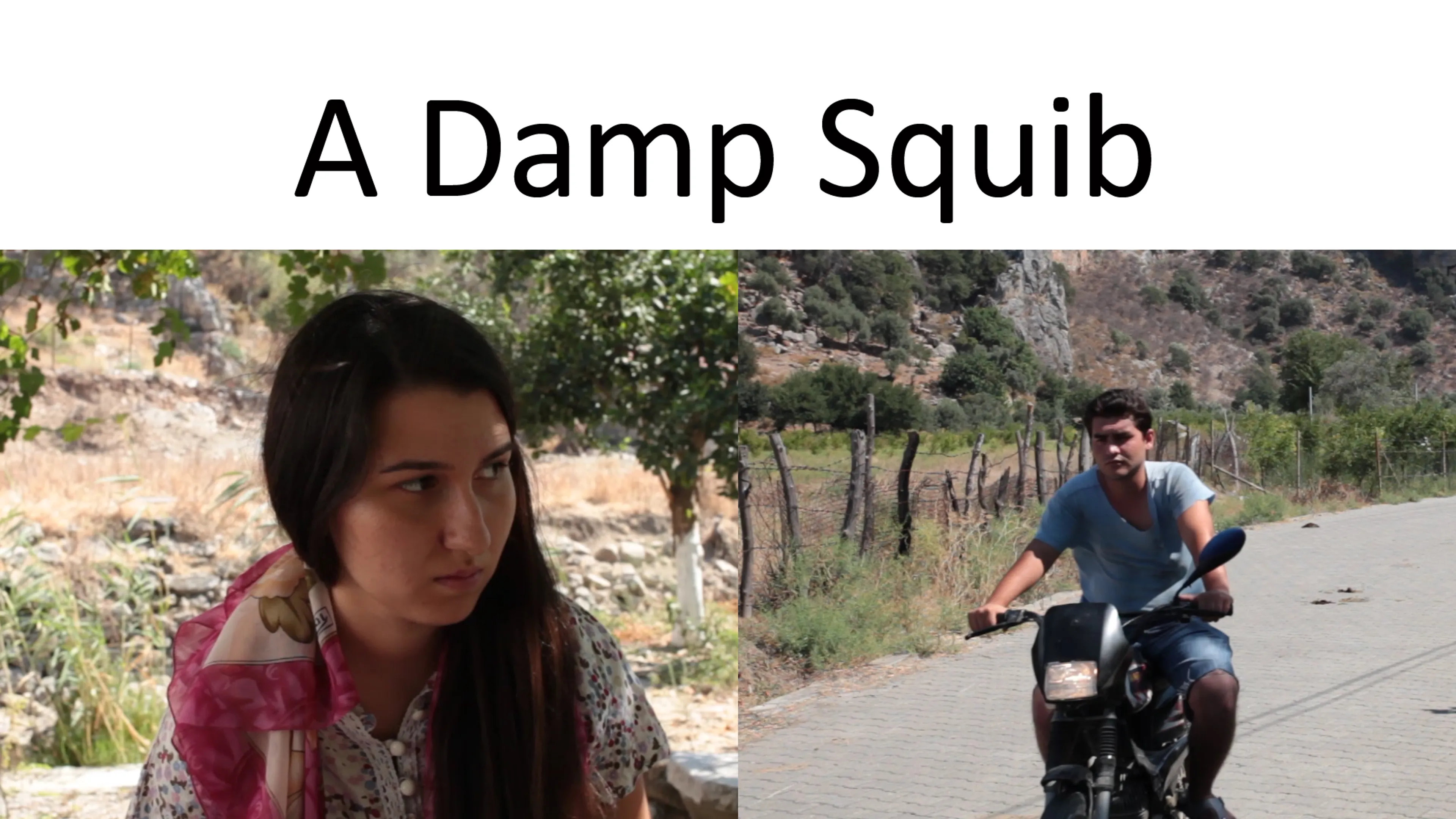 A Damp Squib poster